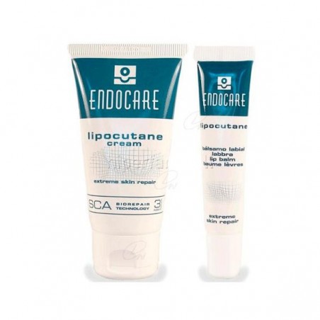 Comprar ENDOCARE LIPOCUTANE DUO CREAM BÁLSAMO LABIAL